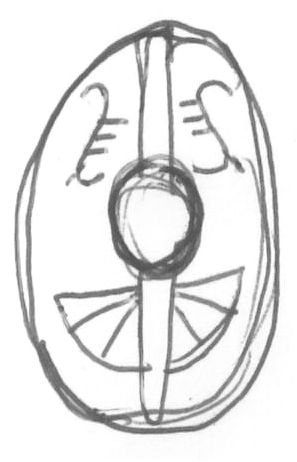 Chaukenschild